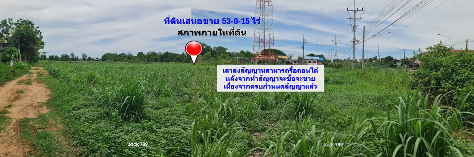 🔥 "53 ไร่ แปลงสวย ติดถนน 4 เลน ไร่ละ 3.5 แสน! นักลงทุนตัวจริงเห็นแล้วไม่เลื่อนผ่าน" – รูปที่ 2