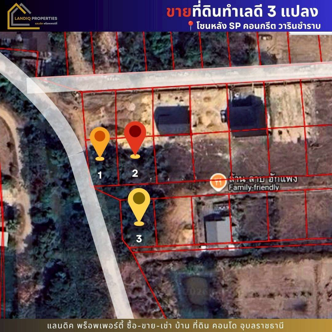 ขายที่ดิน 3 แปลง เหมาะสำหรับสร้างบ้าน โซนหลัง SP คอนกรีต วารินชำราบ  – รูปที่ 3