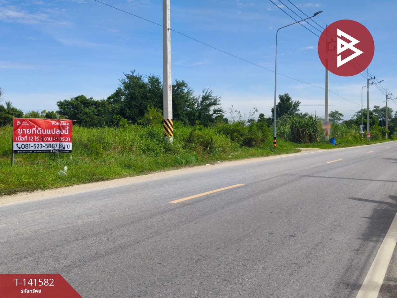 ขายที่ดินพร้อมธุรกิจห้องเช่า เนื้อที่ 12 ไร่ 3 งาน บ้านบึง ชลบุรี – รูปที่ 3