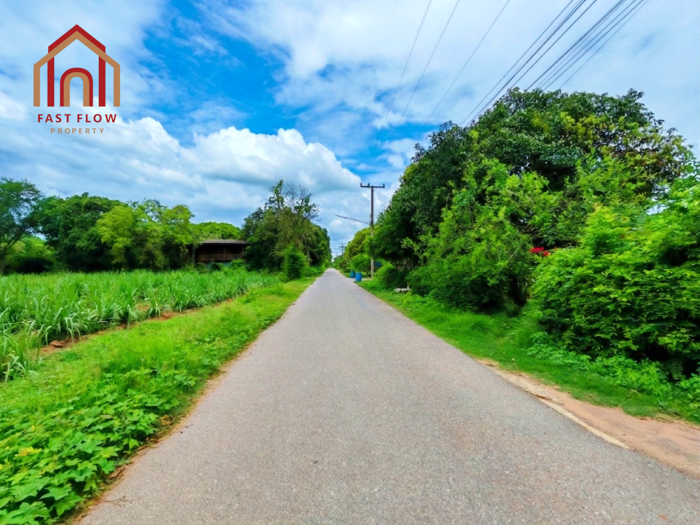 ขายที่ดิน อ.ปากท่อ จ.ราชบุรี 33 ไร่เศษ ทำเลดี วิวภูขา ใกล้วิทยาลัยการอาชีพปากท่อ วัดเขากิ่ว (เขาพระเอก) โรงเจถ้ำมังกรทอง ซอยทุ่งหลวง10 ทุ่งหลวง8 RICH – รูปที่ 4