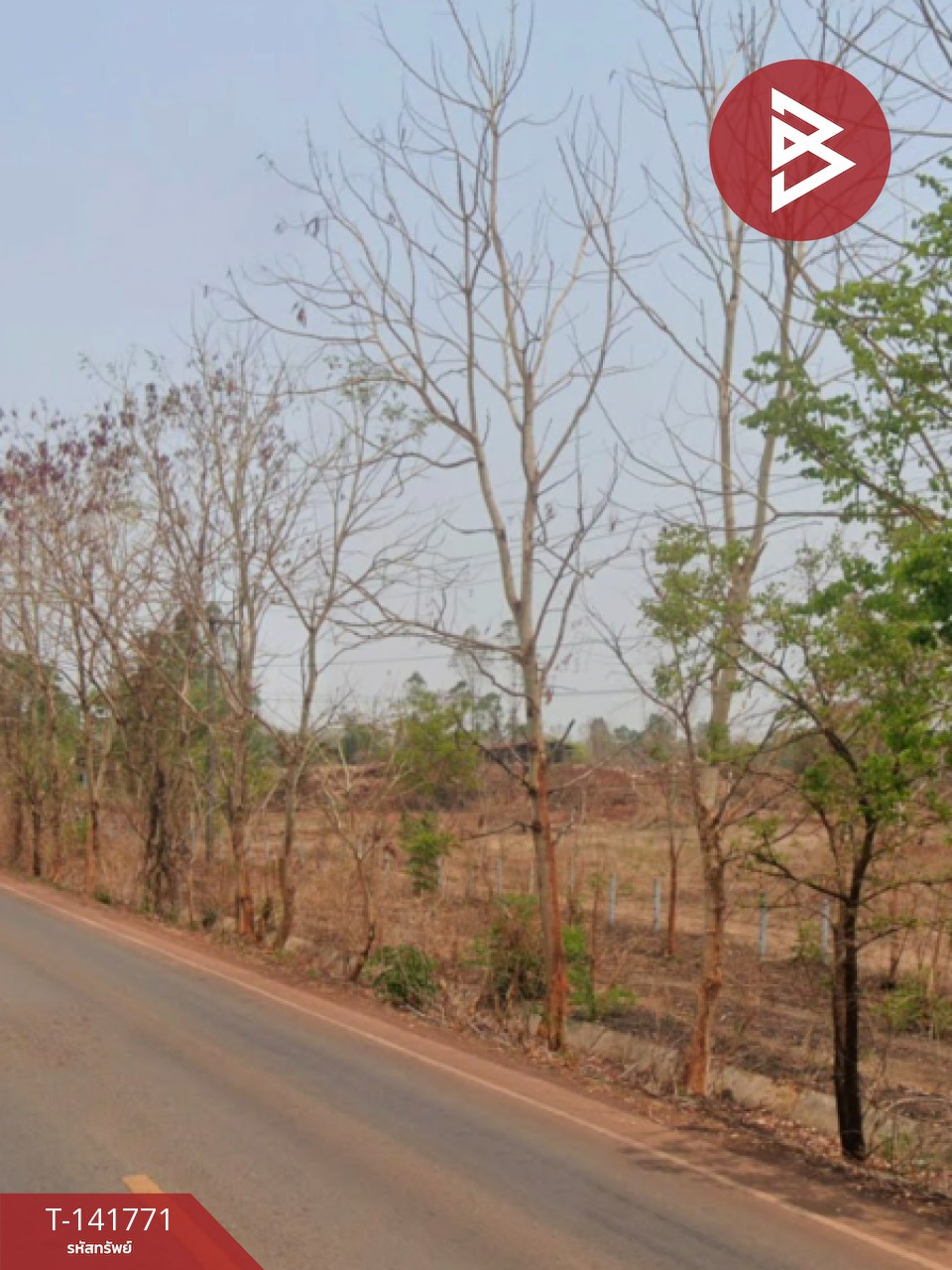 ขายที่ดิน เนื้อที่ 24 ไร่ 1 งาน 7 ตร.วา โพนสวรรค์ นครพนม – รูปที่ 3
