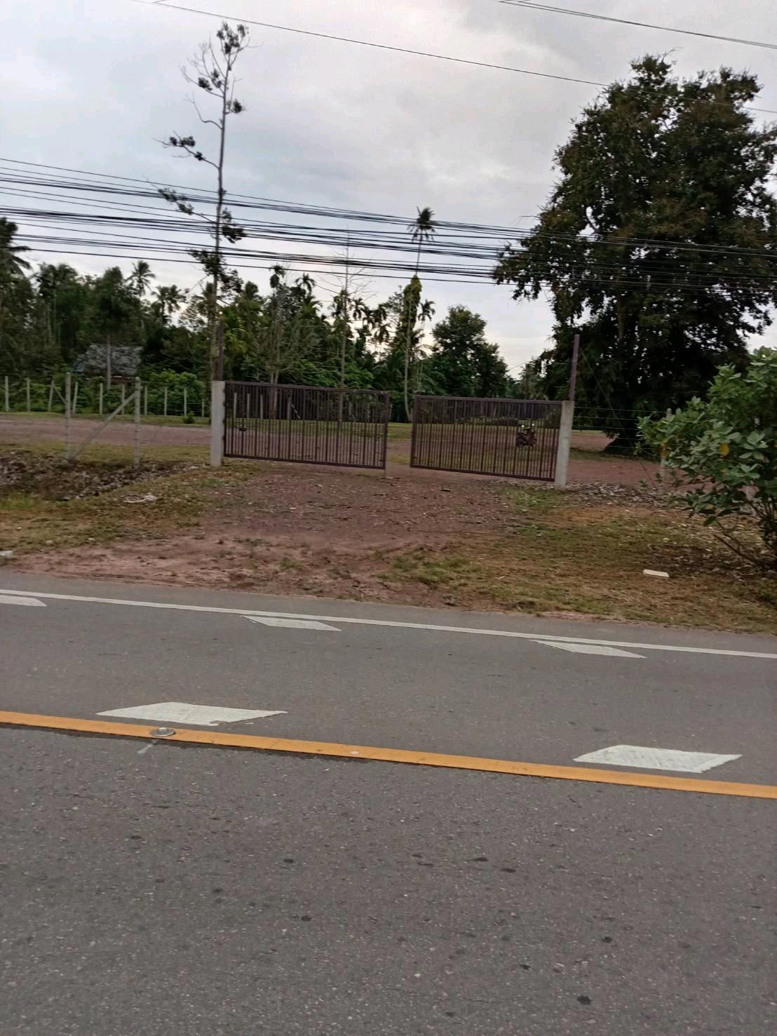 ขายที่ดินสวยฮวงจุ้ยดีเยี่ยม 👍 ติดแม่น้ำท่าตะเภา(อยู่ในตัวเมืองชุมพร)  ตำบลบางหมาก อำเมือง จังหวัดชุมพร ด้านหน้าที่ดินติดถนนราดยางกว้าง 50 เมตร ไฟฟ้า+น้ำประปาพร้อม ขนาด 2 ไร่ 37 ตรว. ที่ดินพัฒนาให้แล้วถมสูงกว่าถนน พร้อมปลูกบ้านหรือทำกิจการ... ได้เลย – รูปที่ 3