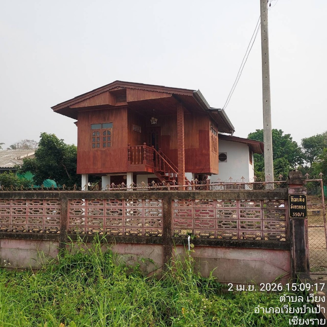  selling directly...Brokers welcome from all over Thailand.  Urgent Sale! 366 sq.wa. (approx. 1,644 sq.m.) of leveled land in Wiang Pa Pao Municipality, Chiang Rai. Only 90 meters from Highway 118 (Chiang Mai-Chiang Rai). Includes a wooden house. – รูปที่ 2