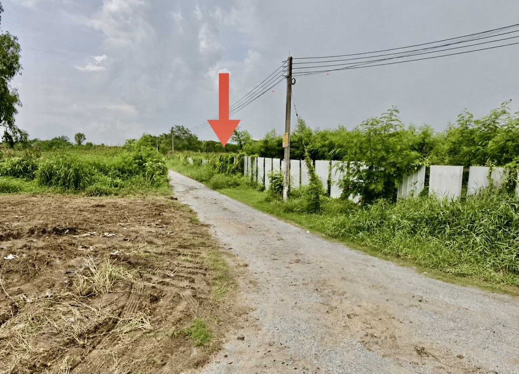 ขาย ที่ดิน ใกล้วัดพระธรรมกาย คลองสี่ อ.คลองหลวง 1 ไร่ ผังเมืองสีชมพูอ่อน – รูปที่ 2