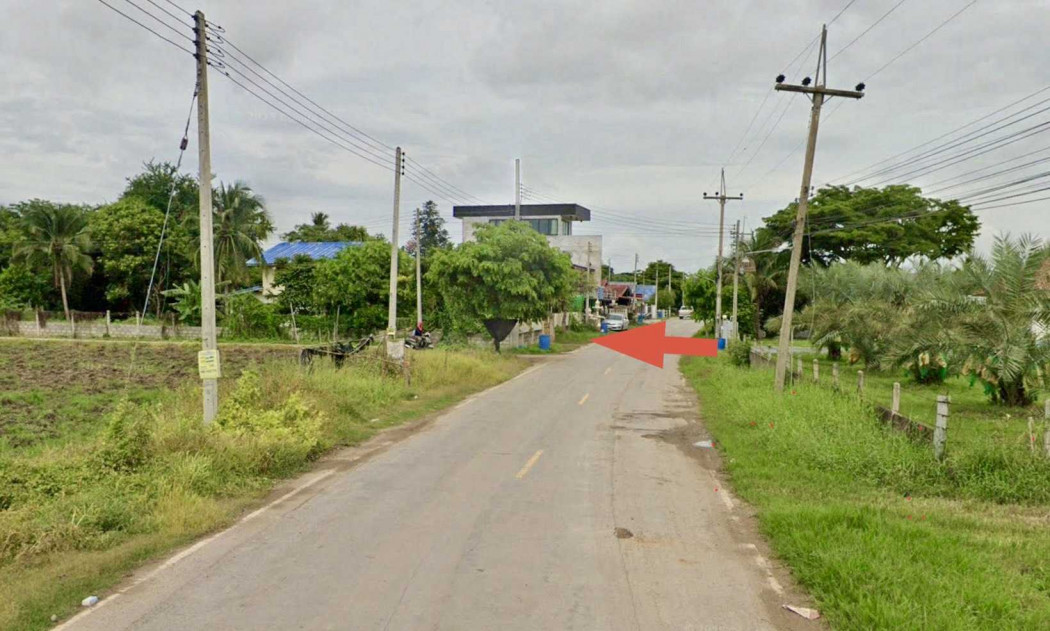 ขาย ที่ดิน ที่ดินแปลงใหญ่ 19 ไร่ ทำเลศักยภาพ อ.ปากช่อง  19 ไร่ 1 งาน – รูปที่ 3