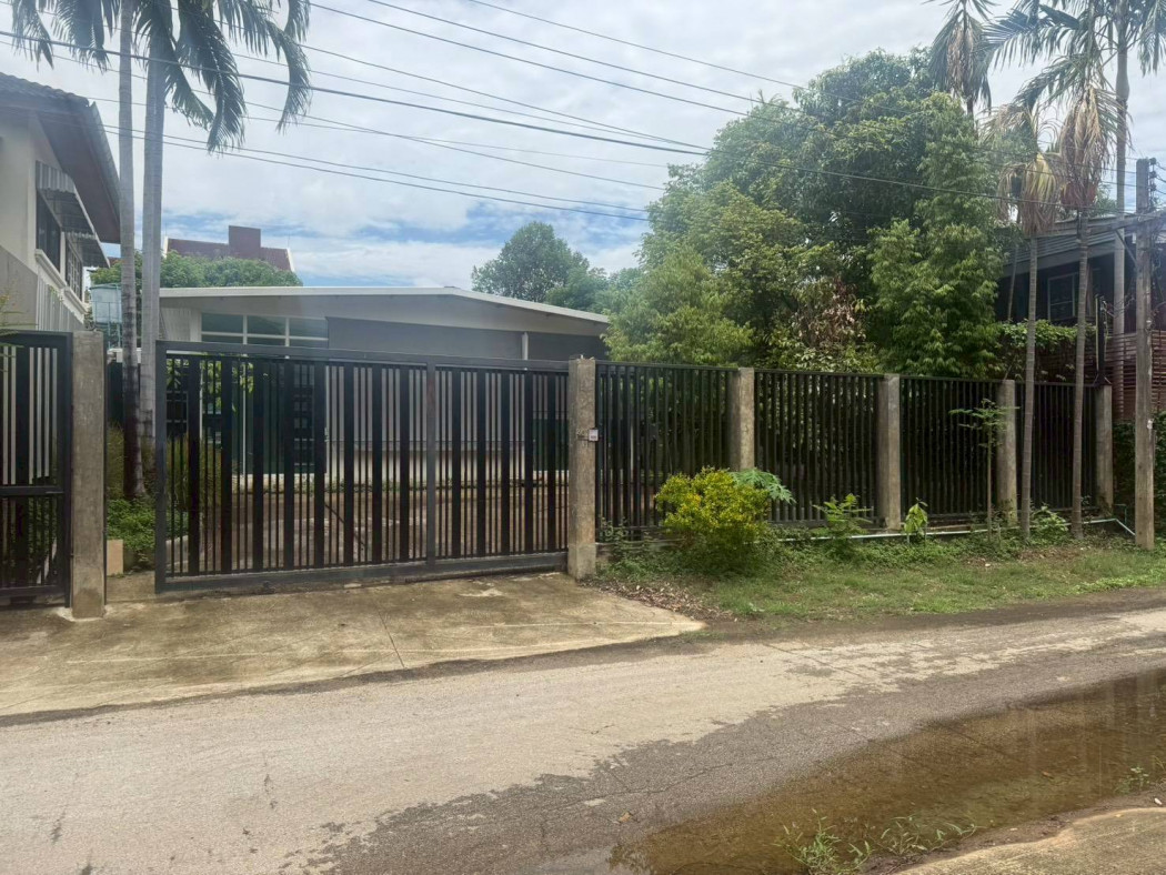 ขายที่ดินพร้อมสิ่งปลูกสร้าง 100 ตร.ว. อ.ช้างคลาน ในเมือง ใกล้สนามบินเชียงใหม่ – รูปที่ 3