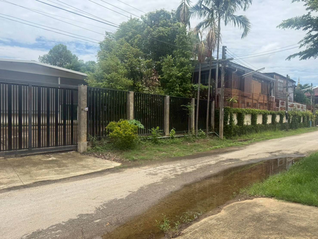 ขายที่ดินพร้อมสิ่งปลูกสร้าง 100 ตร.ว. อ.ช้างคลาน ในเมือง ใกล้สนามบินเชียงใหม่ – รูปที่ 4