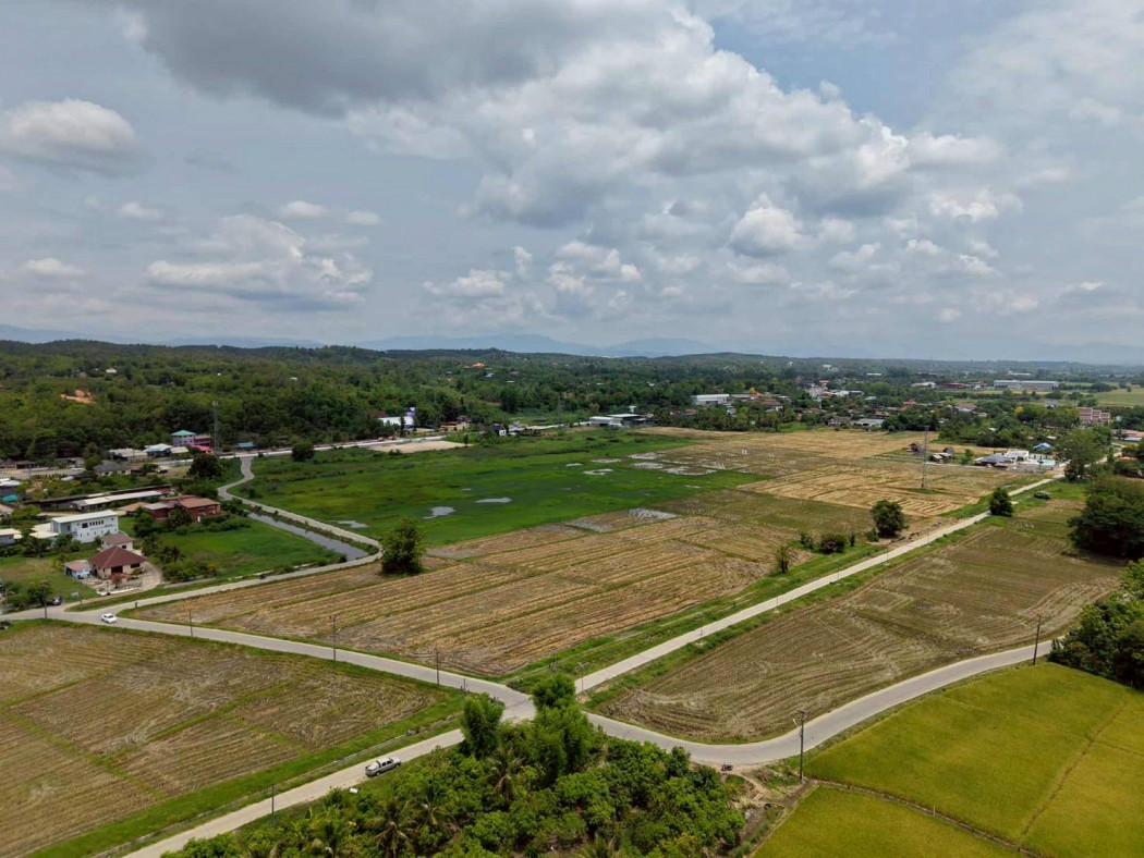 Land for Sale in Mae Rim 67 Rai 0 Ngan 79 Sq.Wah, Near Chotana Road, Opposite Khi Lek Subdistrict Municipality