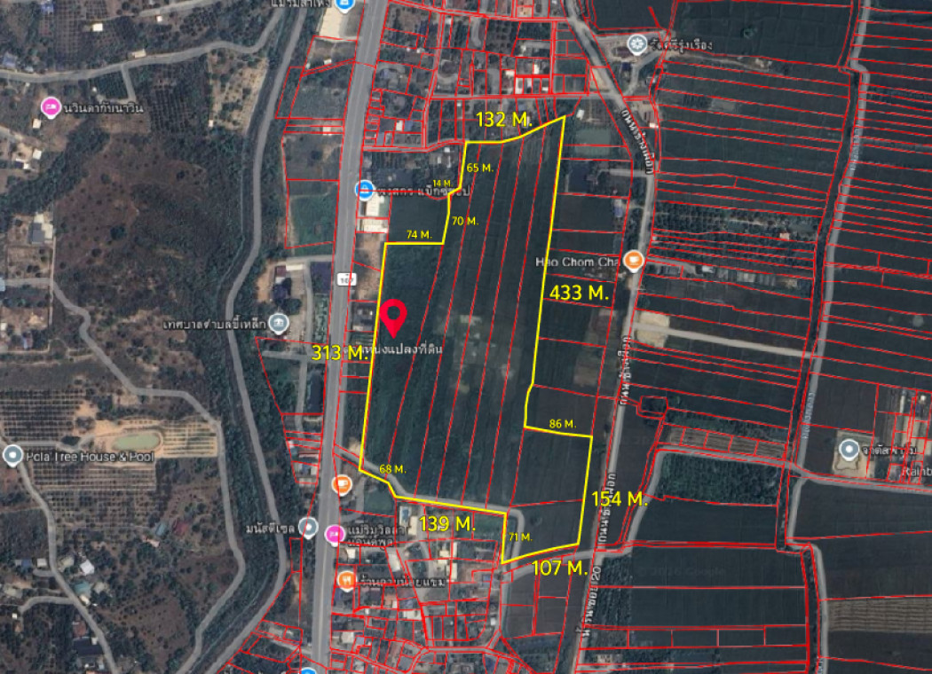 ขายที่ดินแม่ริม 67 ไร่ 0 งาน 79 ตร.ว. ใกล้ถนนโชตนา ตรงข้ามเทศบาลตำบลขี้เหล็ก – รูปที่ 4