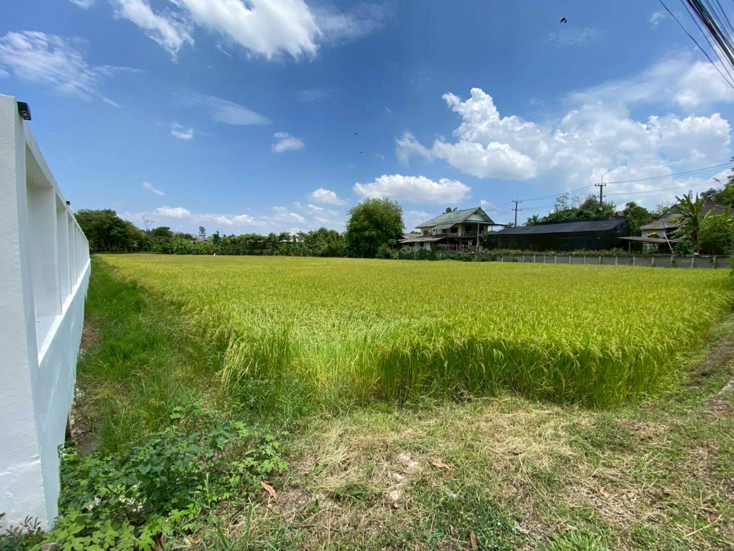 Land for Sale in Mae Rim, Chiang Mai, 3 Rai 1 Ngan 26 Square Wah, Near Prem Tinsulanonda International School. – รูปที่ 2