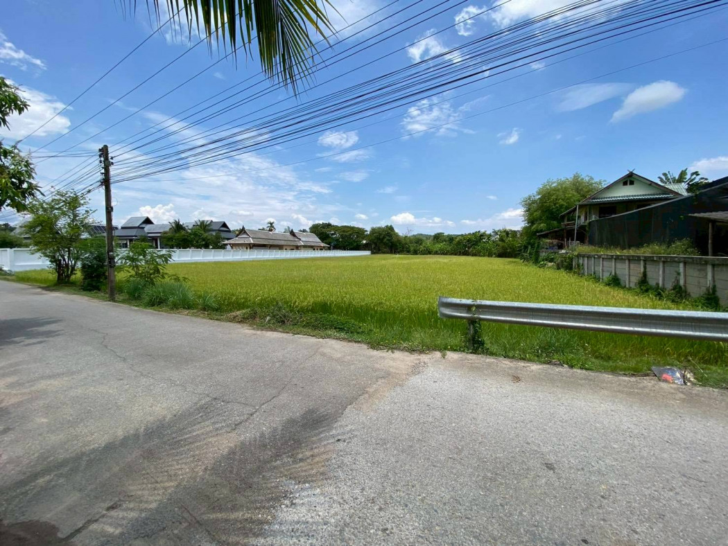 Land for Sale in Mae Rim, Chiang Mai, 3 Rai 1 Ngan 26 Square Wah, Near Prem Tinsulanonda International School. – รูปที่ 3