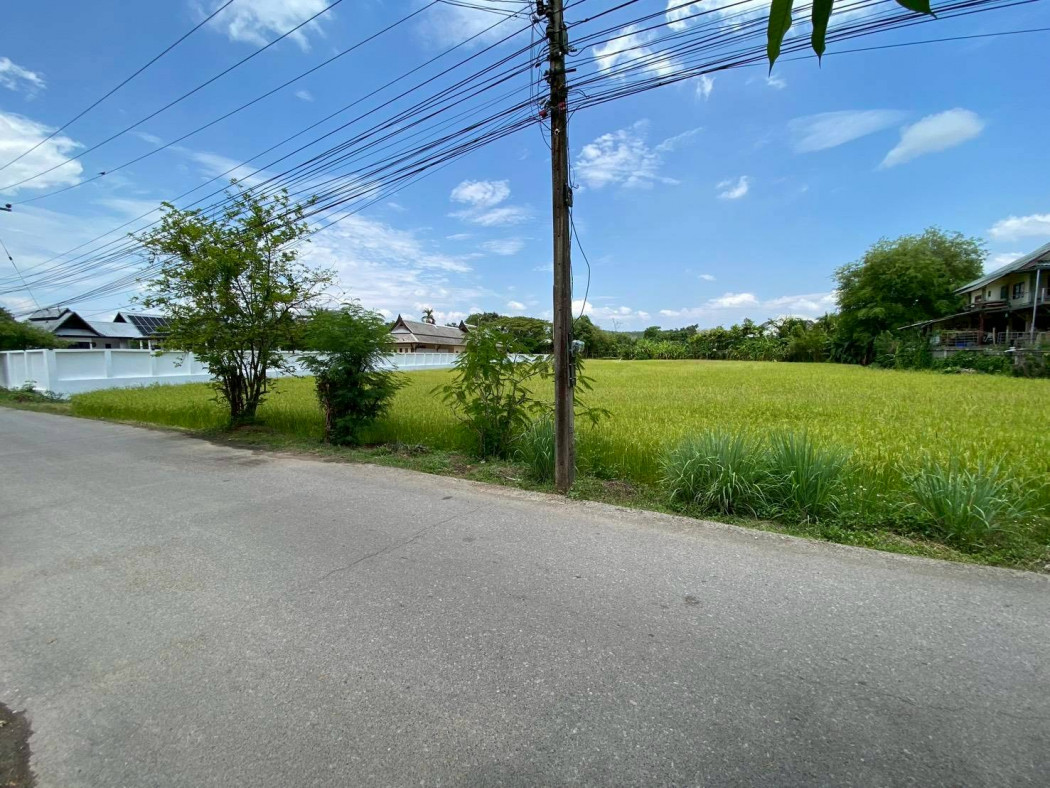 Land for Sale in Mae Rim, Chiang Mai, 3 Rai 1 Ngan 26 Square Wah, Near Prem Tinsulanonda International School. – รูปที่ 4