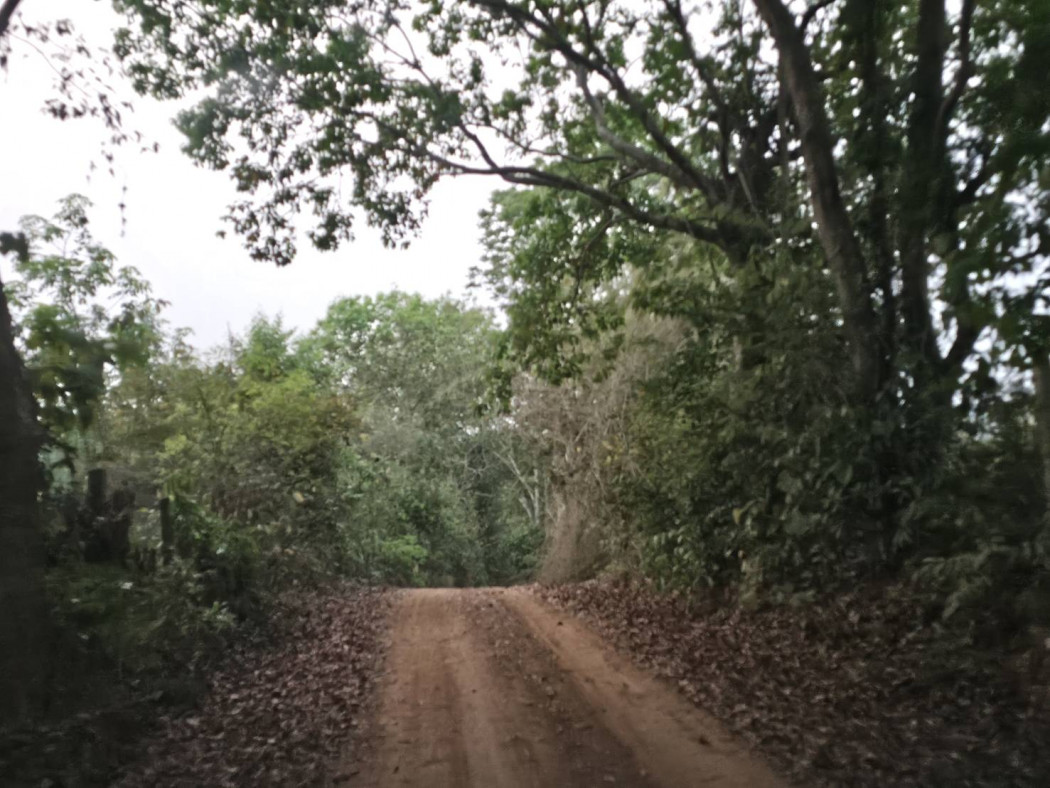 Land for Sale in Chiang Rai, Area 76 Rai 0 Ngan 70 Sq.Wah, Near Ban Lo Pa Ha School – รูปที่ 2
