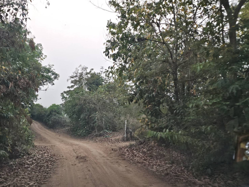 Land for Sale in Chiang Rai, Area 76 Rai 0 Ngan 70 Sq.Wah, Near Ban Lo Pa Ha School – รูปที่ 3