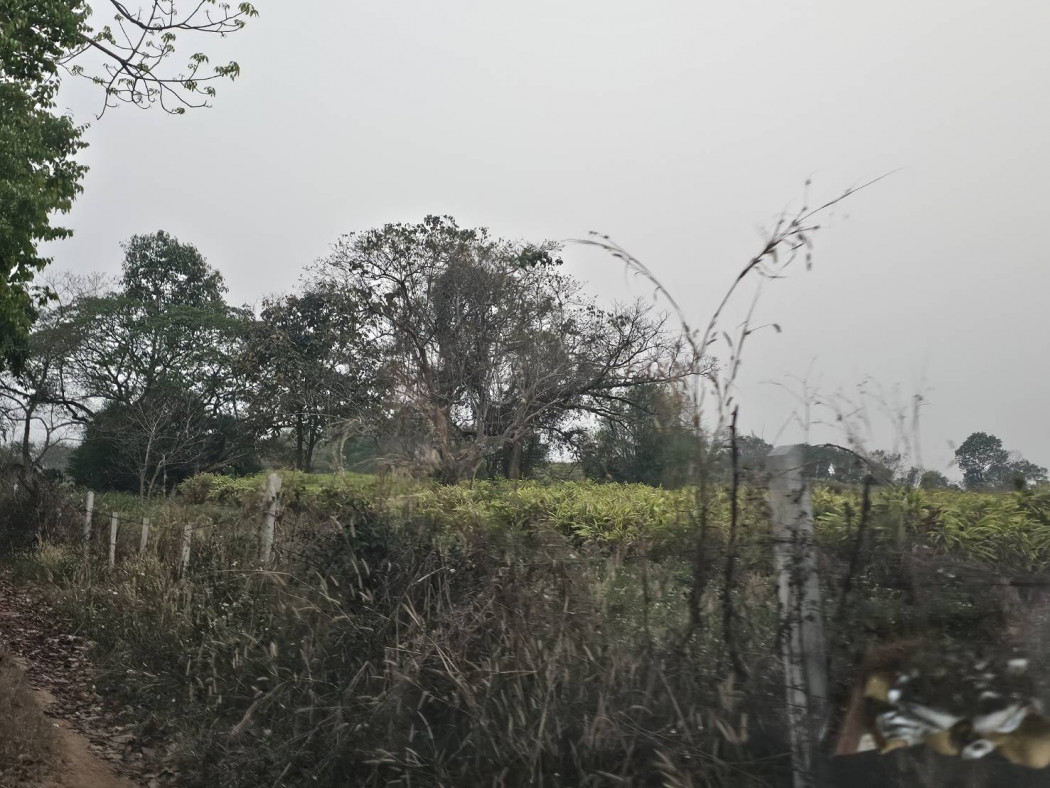 Land for Sale in Chiang Rai, Area 76 Rai 0 Ngan 70 Sq.Wah, Near Ban Lo Pa Ha School – รูปที่ 4