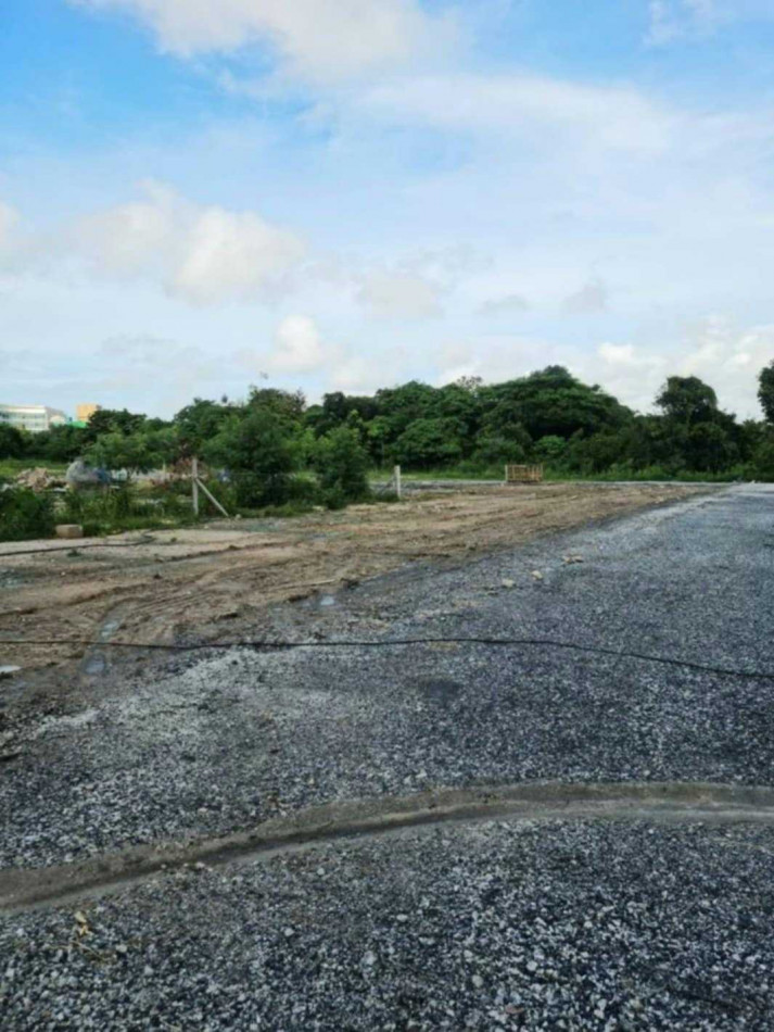 ขาย ที่ดิน ผังสีม่วงลาย  นิคมเอเชียมาบตาพุด ระยอง 5 ไร่ 2 งาน 66 ตรว – รูปที่ 2