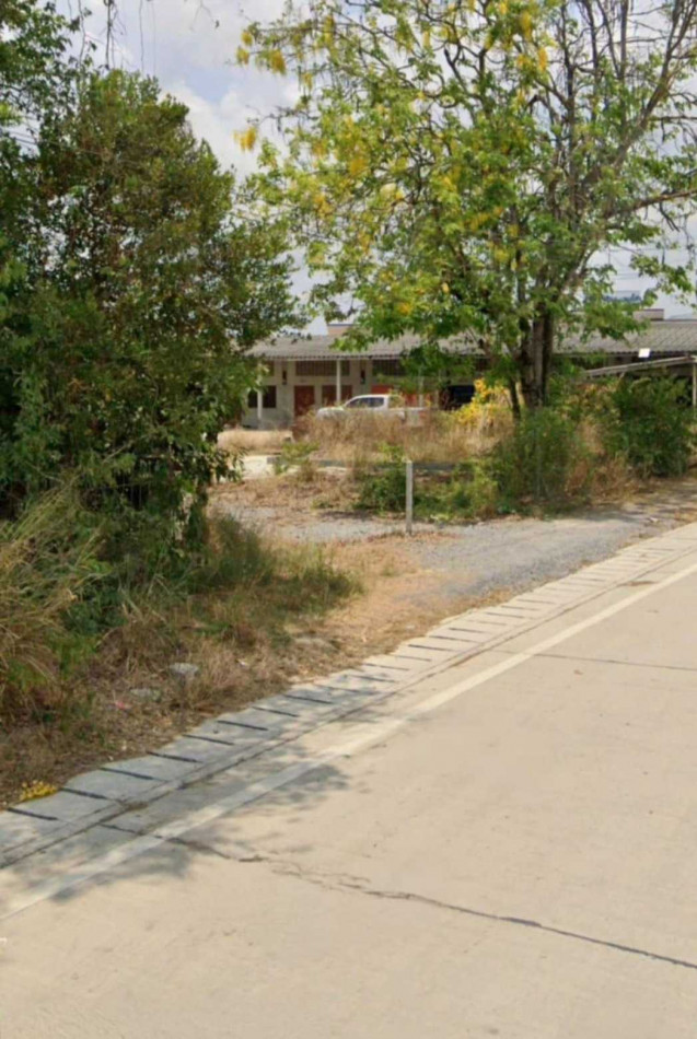 ขาย ที่ดิน ผังสีม่วงลาย  นิคมเอเชียมาบตาพุด ระยอง 5 ไร่ 2 งาน 66 ตรว – รูปที่ 4
