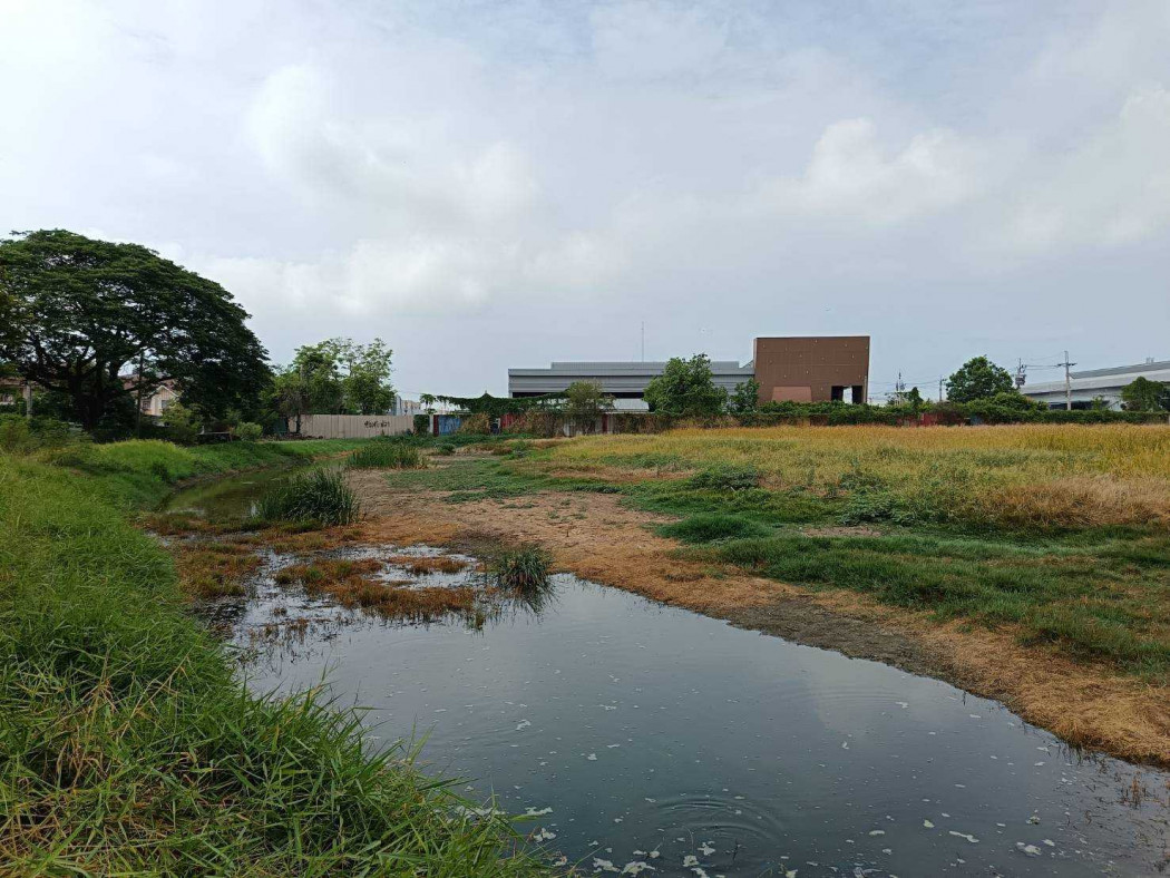 Land for sale, purple zone, suitable for factories, warehouses, or investment purposes. 16 rai, adjacent to Bangpu Industrial Estate. – รูปที่ 4