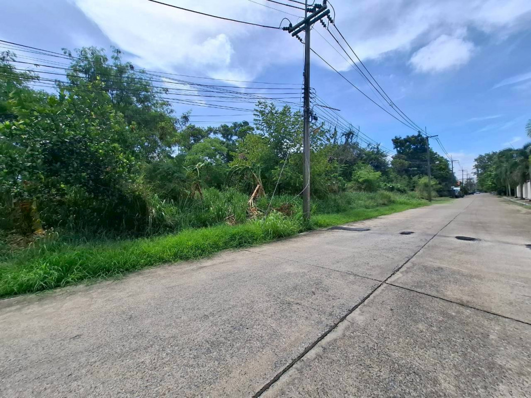 ขาย ที่ดิน หมู่บ้านเมืองเอก โครงการ 4 ขนาด 1 ไร่ 84 ตรว เหมาะสร้างบ้าน KK ขาย ที่ดิน หมู่บ้านเมืองเอก โครงการ 4 ขนาด 1 ไร่ 84 ตรว เหมาะสร้างบ้าน KK