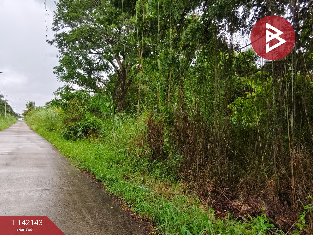 ขายที่ดิน เนื้อที่ 1 งาน 44.1 ตร.วา ท่าซัก นครศรีธรรมราช – รูปที่ 3