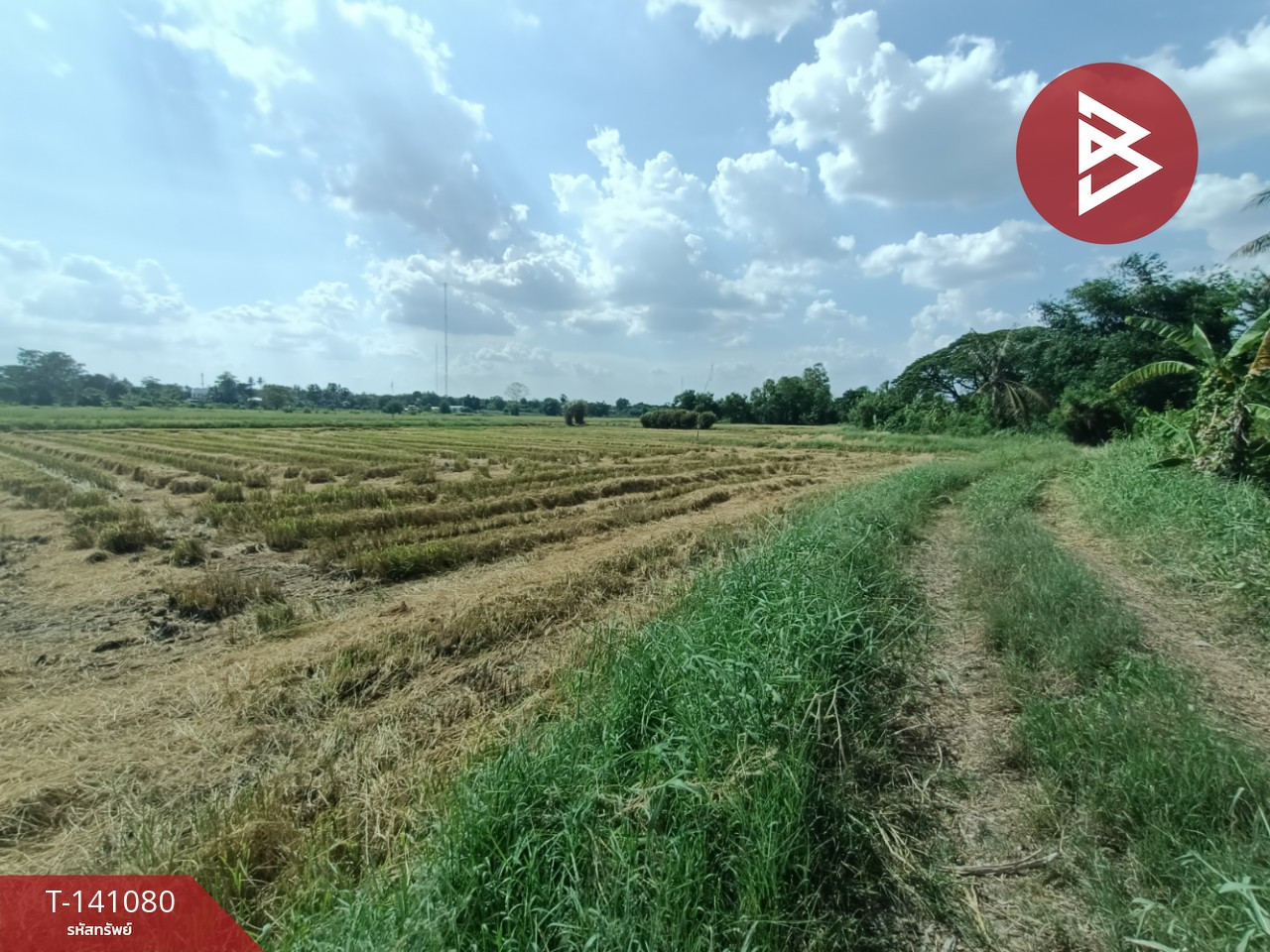 ขายที่ดิน เนื้อที่ 7 ไร่ 3 งาน 41 ตร.วา บ้านใหม่ นครราชสีมา – รูปที่ 2