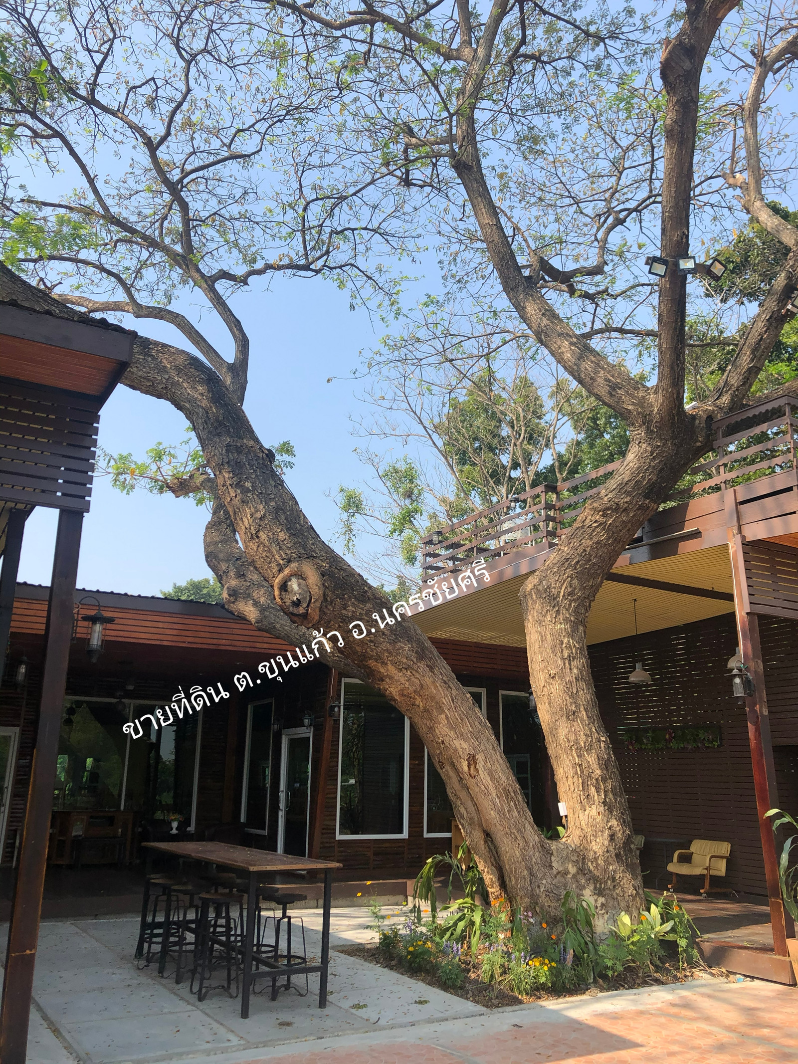 Land for sale next to the Nakhon Chai Si River, 22 meters in front of the water, with a former restaurant building. – รูปที่ 2