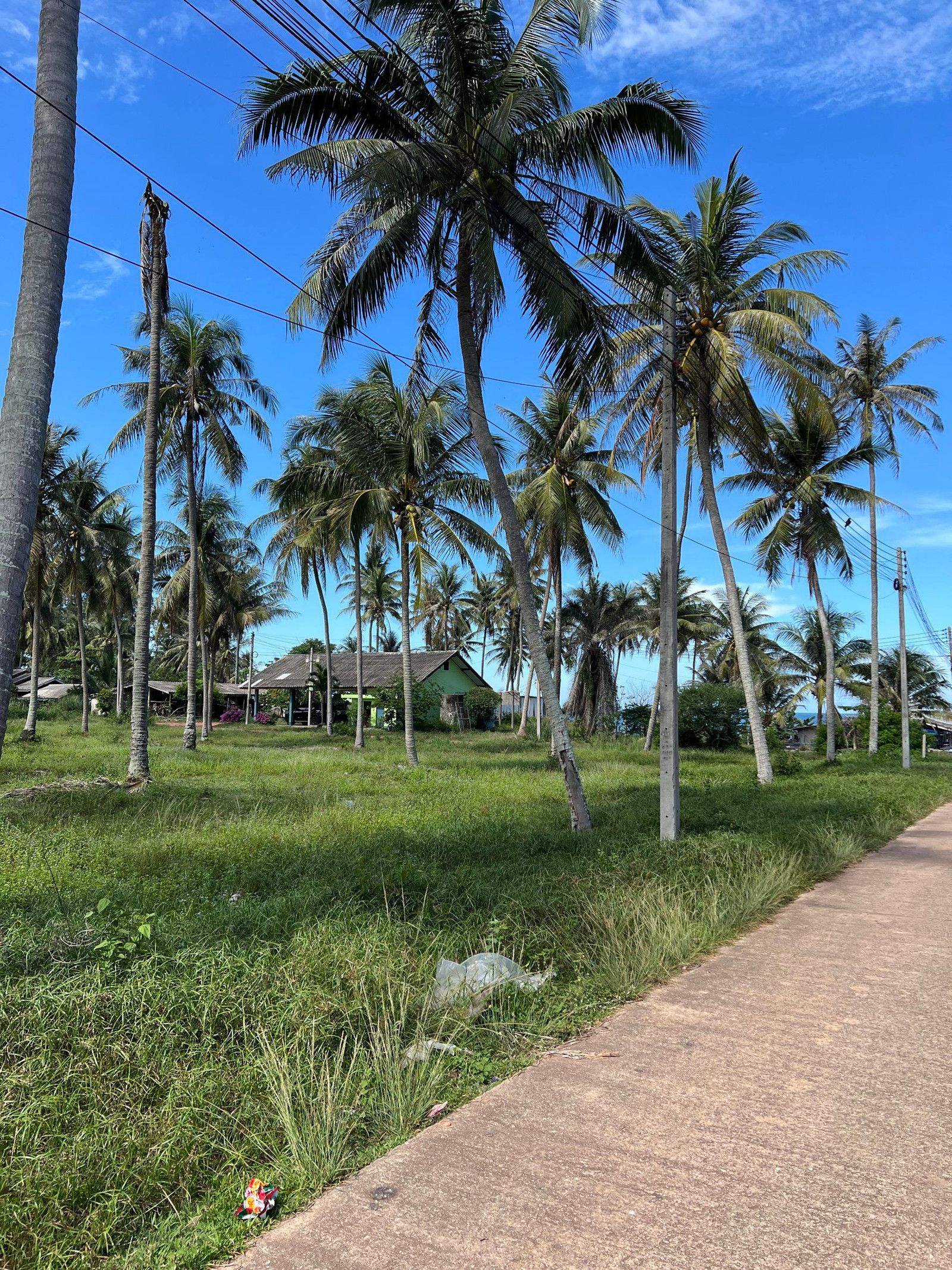 ขายที่ดินใกล้ทะเลเพียง 150เมตร จำนวน 10 ไร่ ติดถนน 