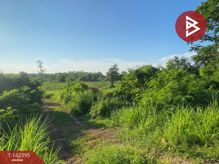 Empty land for sale, area 15 rai 2 ngan 5 sq m, Ban Phue, Udon Thani. – รูปที่ 2