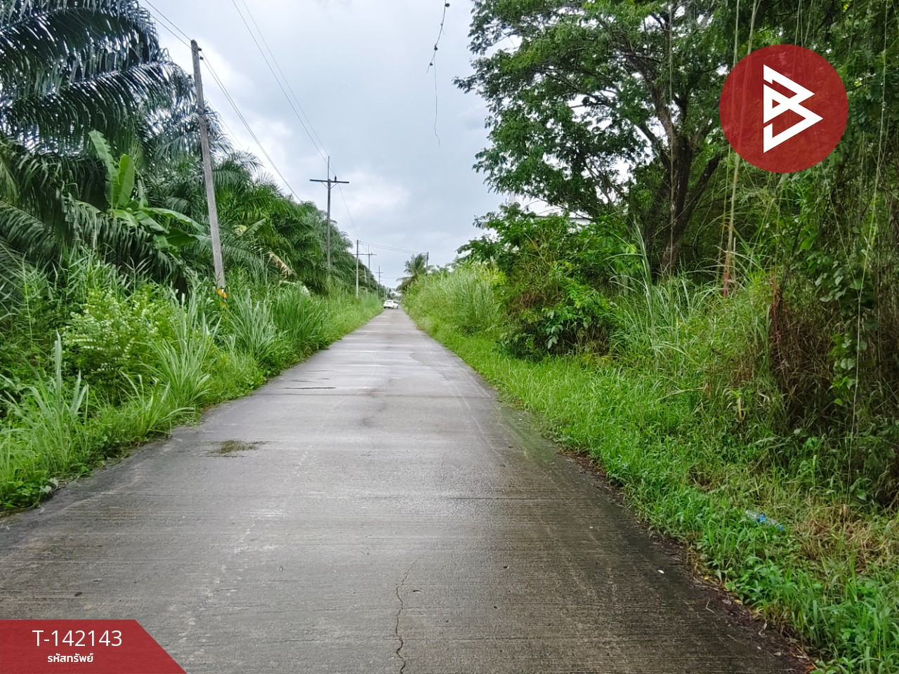 ขายที่ดิน เนื้อที่ 1 งาน 44.1 ตร.วา ท่าซัก นครศรีธรรมราช – รูปที่ 4