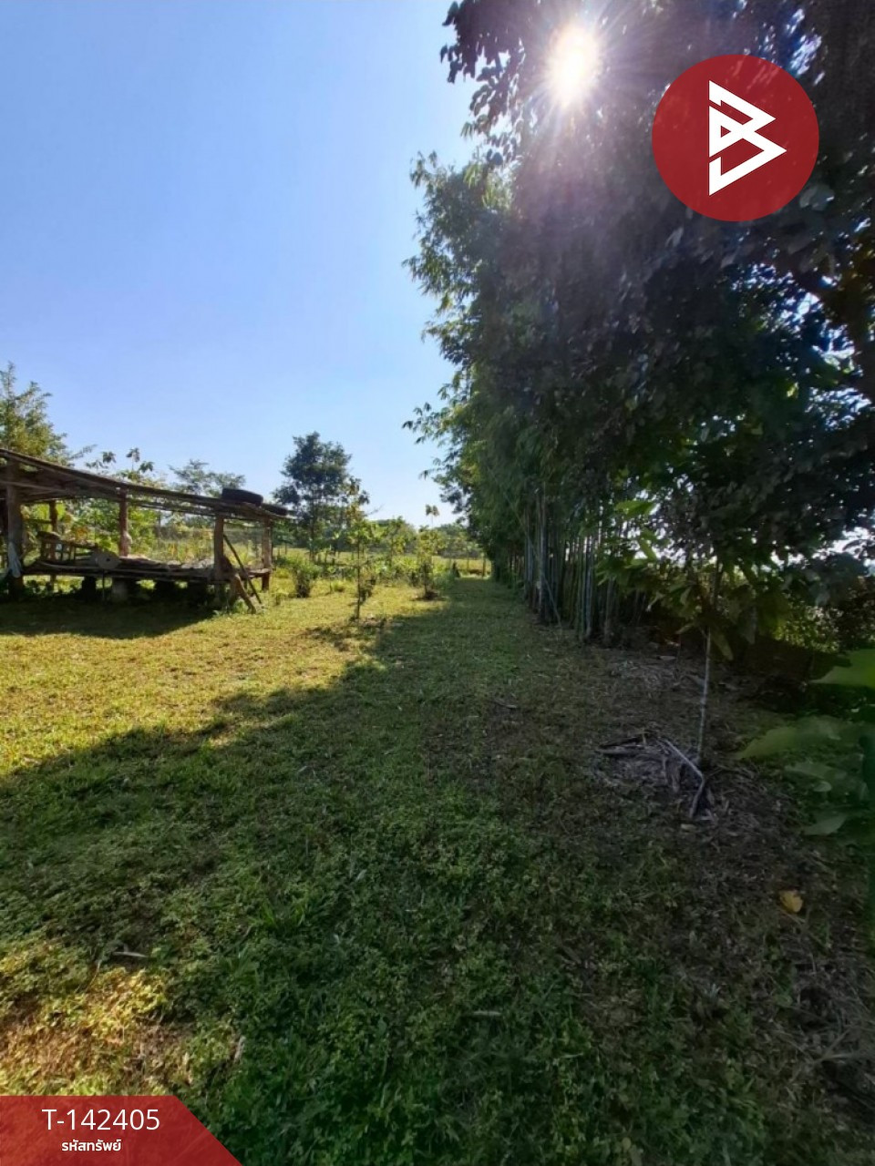 ขายที่ดิน เนื้อที่ 2 งาน 84.1 ตร.วา สันทราย เชียงราย – รูปที่ 2