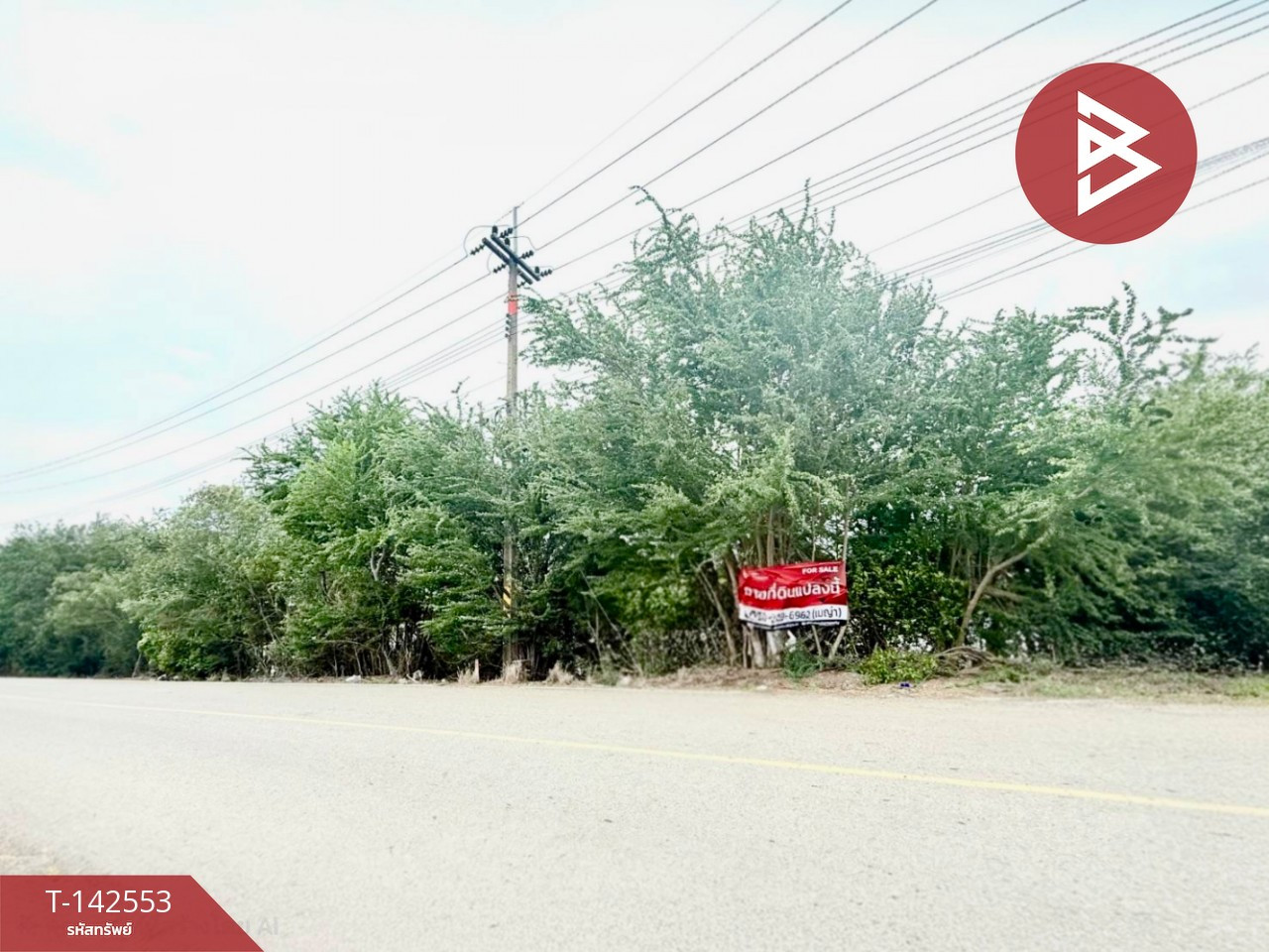 Land for sale, area 4 rai 3 ngan 37.8 sq m, Wang Takhian, Chachoengsao. – รูปที่ 2