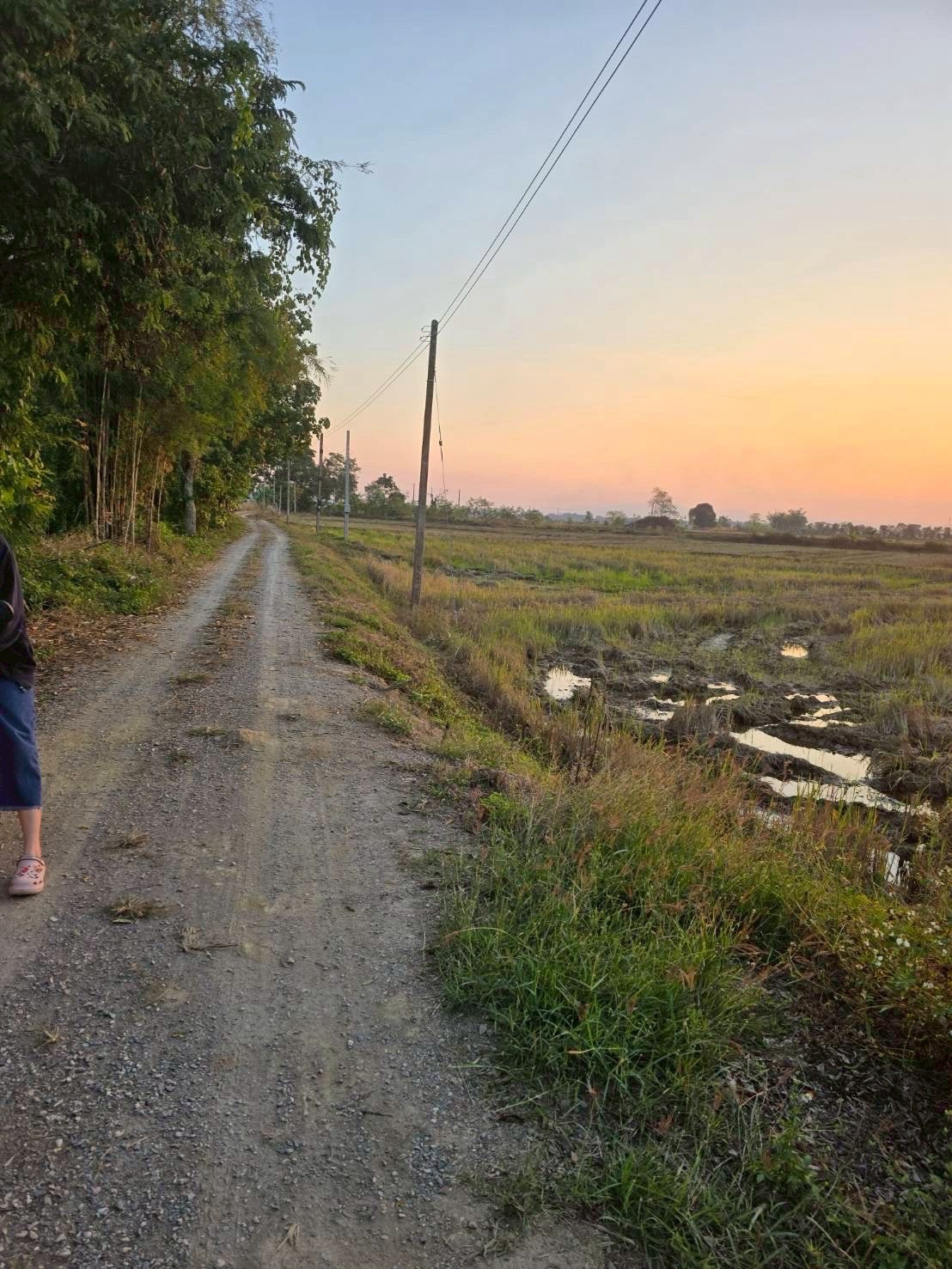 Land for sale, farming, gardening, good water, plenty of rice, has access to roads and electricity, 275,000 baht per rai. Land for sale, farming, gardening, good water, plenty of rice, has access to roads and electricity, 275,000 baht per rai.