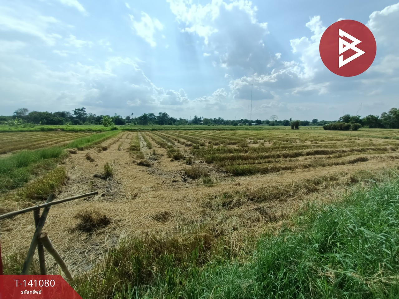 ขายที่ดิน เนื้อที่ 7 ไร่ 3 งาน 41 ตร.วา บ้านใหม่ นครราชสีมา – รูปที่ 4