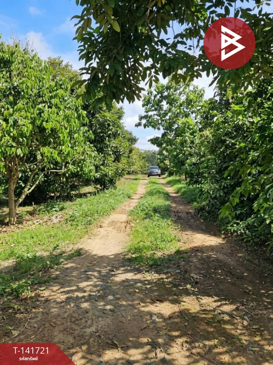 Land for sale, area 10 rai 2 ngan 24 square wa, Khao Khitchakut District, Chanthaburi, near the main road.
