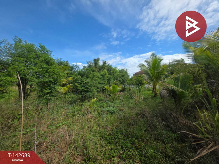 Land for sale, 1 rai 3 ngan 66 square wah, Nakhon Chai Si, Nakhon Pathom. – รูปที่ 3