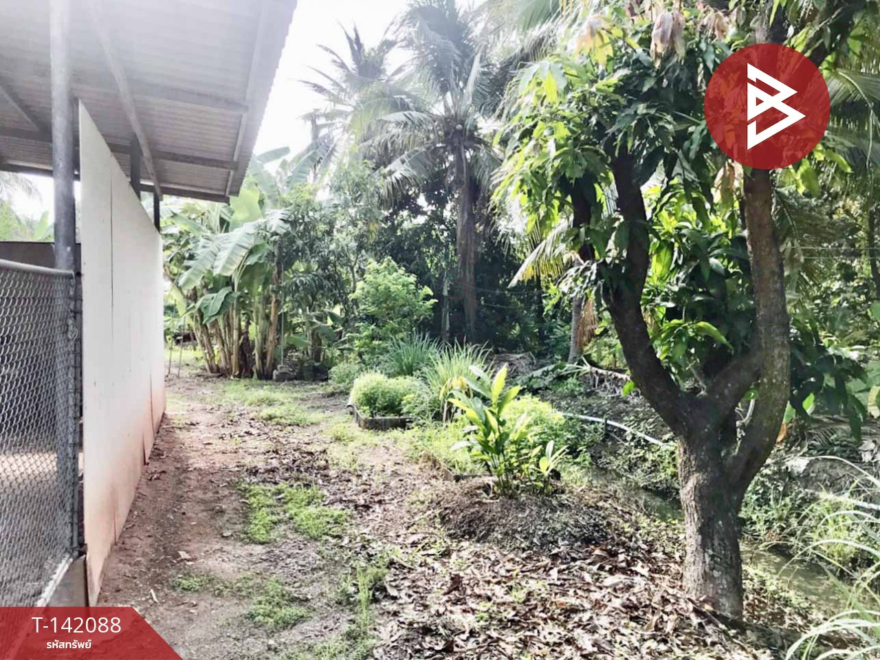 Land for sale, area 1 ngan 65 sq m, Bang Khonthi, Samut Songkhram – รูปที่ 3