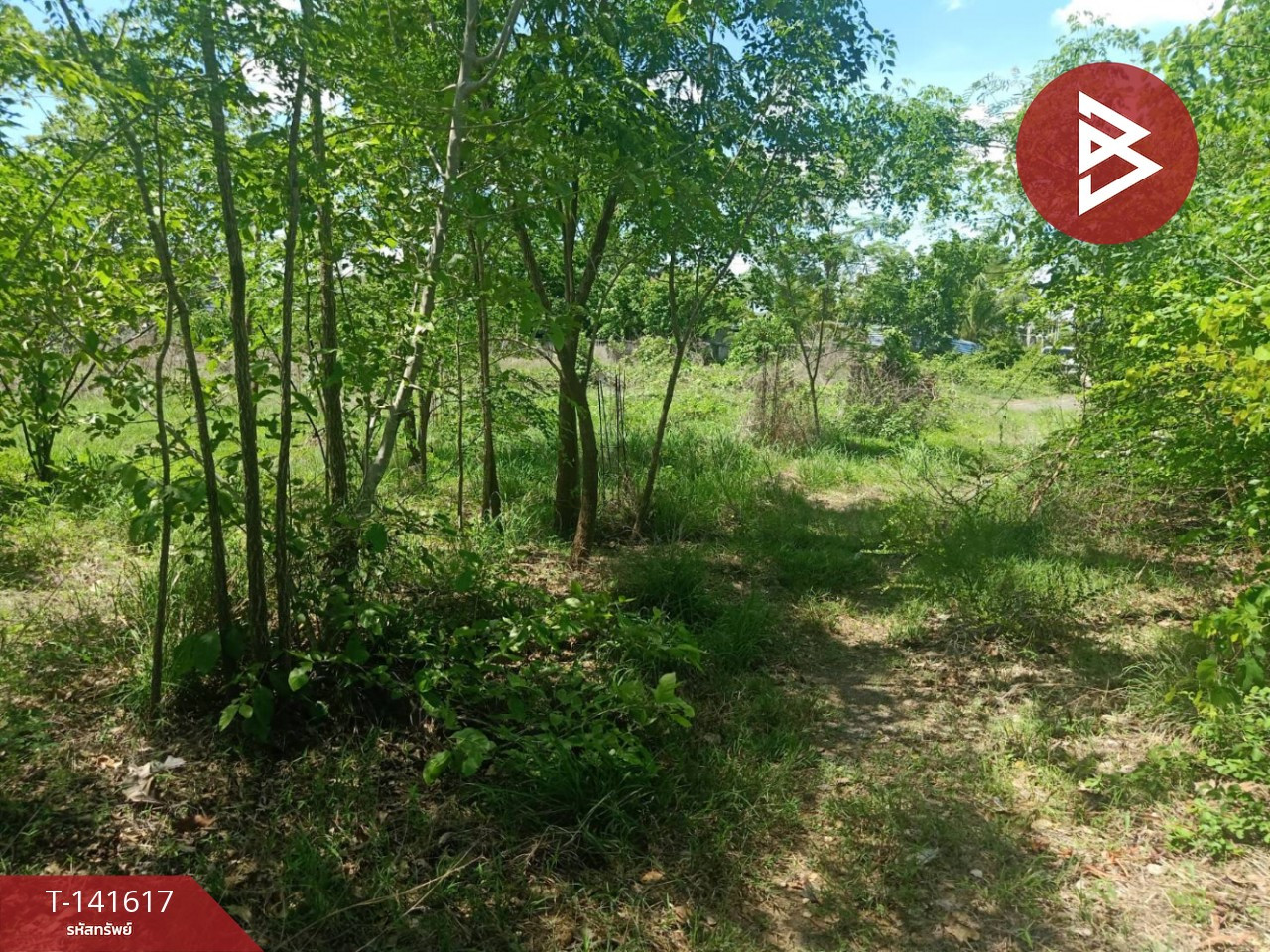 Land for sale, area 1 ngan 49.4 sq m, Nong Pling, Nakhon Sawan. – รูปที่ 4