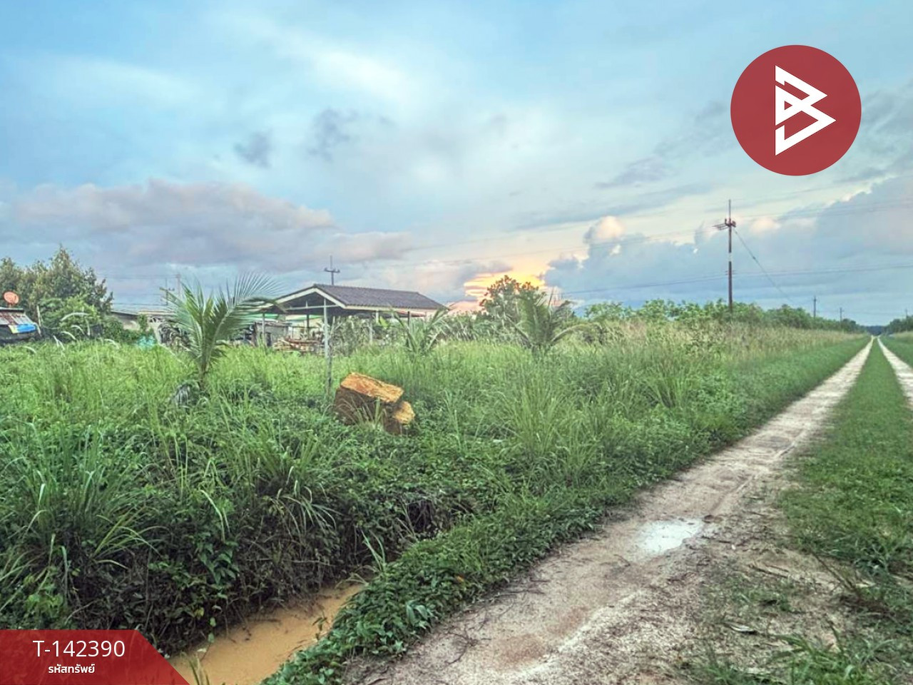 Land for sale, area 1 ngan, 48.8 sq m, Makham, Chanthaburi. – รูปที่ 2