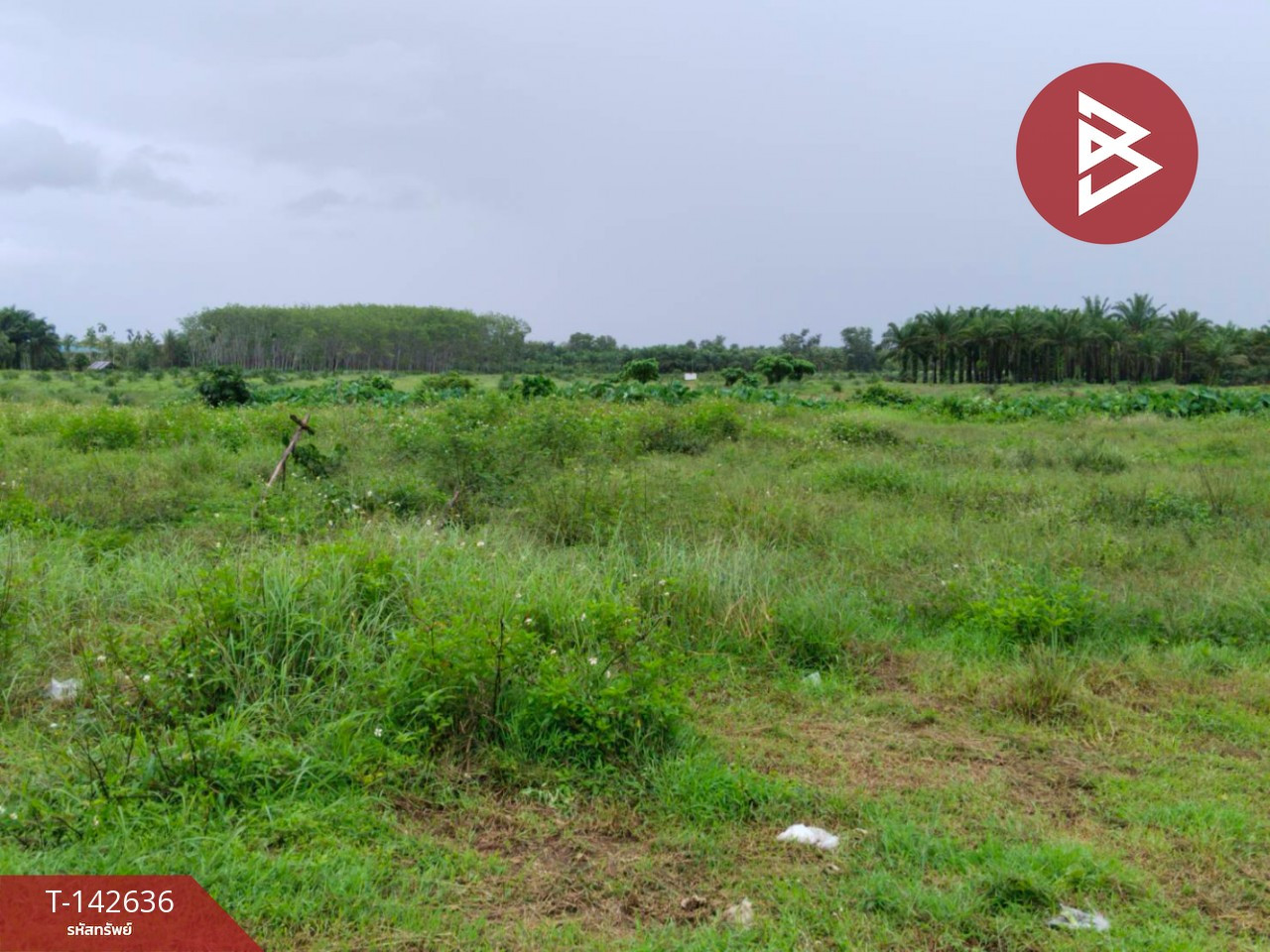 ขายที่ดิน เนื้อที่ 1 ไร่ 3 งาน 43 ตร.วา นครชัยศรี นครปฐม – รูปที่ 4