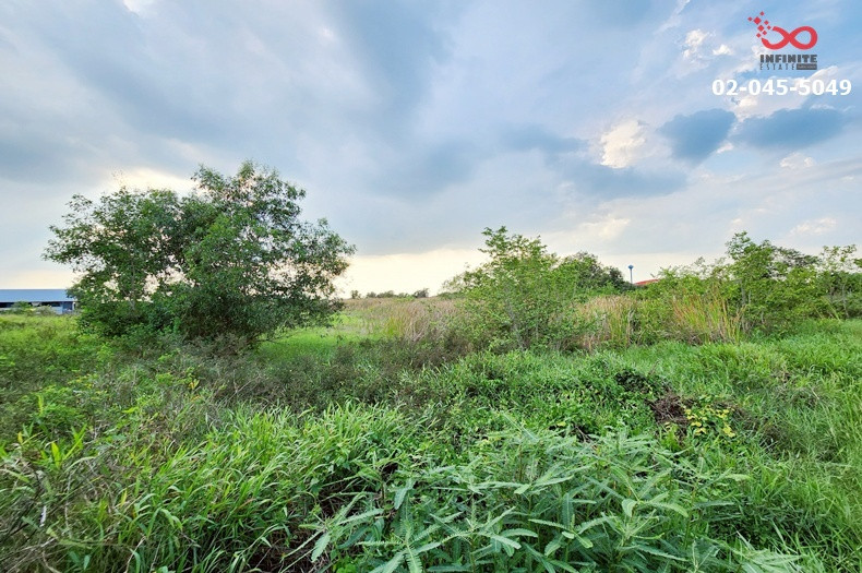 Empty land for sale, 2 rai 276 square wah, Khlong An Road, Khlong Si Tawan Tok, Khlong Luang, Rangsit-Nakhon Nayok. – รูปที่ 4