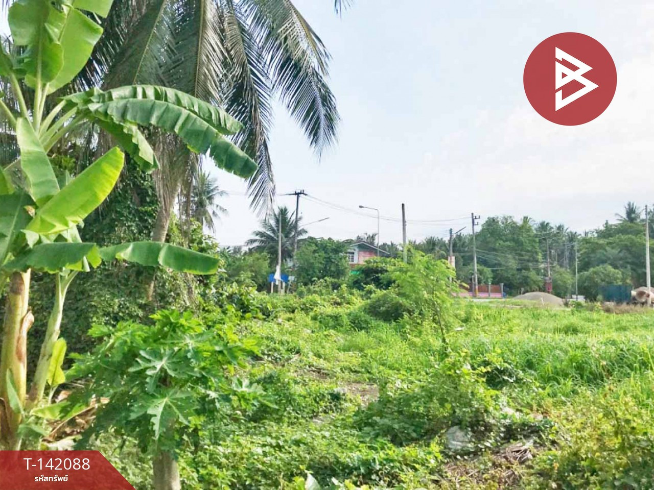 Land for sale, area 1 ngan 65 sq m, Bang Khonthi, Samut Songkhram – รูปที่ 4
