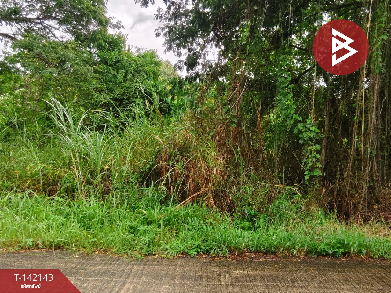 ขายที่ดิน เนื้อที่ 1 งาน 44.1 ตร.วา ท่าซัก นครศรีธรรมราช – รูปที่ 2