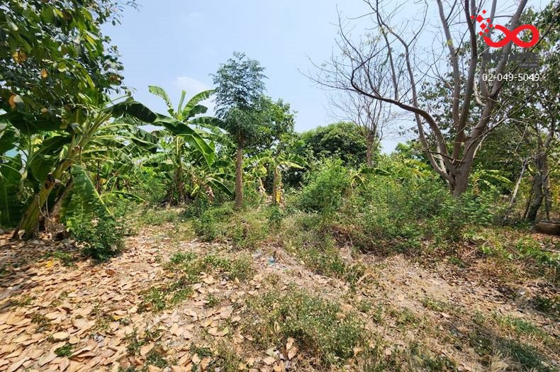 ขายที่ดินถมแล้ว 400 ตร.ว. วัดลาดปลาดุก บางคูรัด บางบัวทอง นนทบุรี – รูปที่ 3