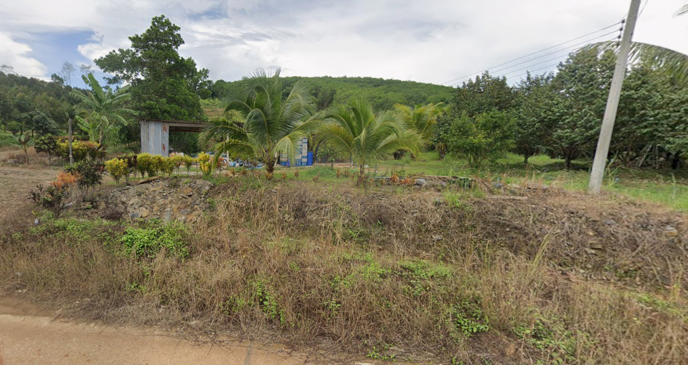 🌳 [FOR SALE] Beautiful Durian Orchard Treasure, 35 Rai with Full Yield Capacity in Chanthaburi – รูปที่ 3