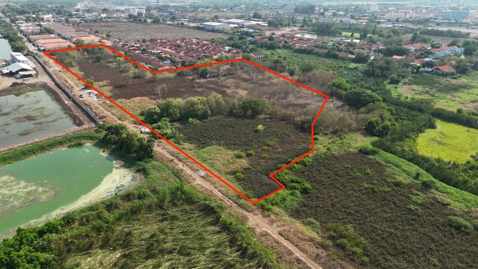 Urgent sale, 29 rai of land, near Rojana Road, 500 meters, Ayutthaya. – รูปที่ 3