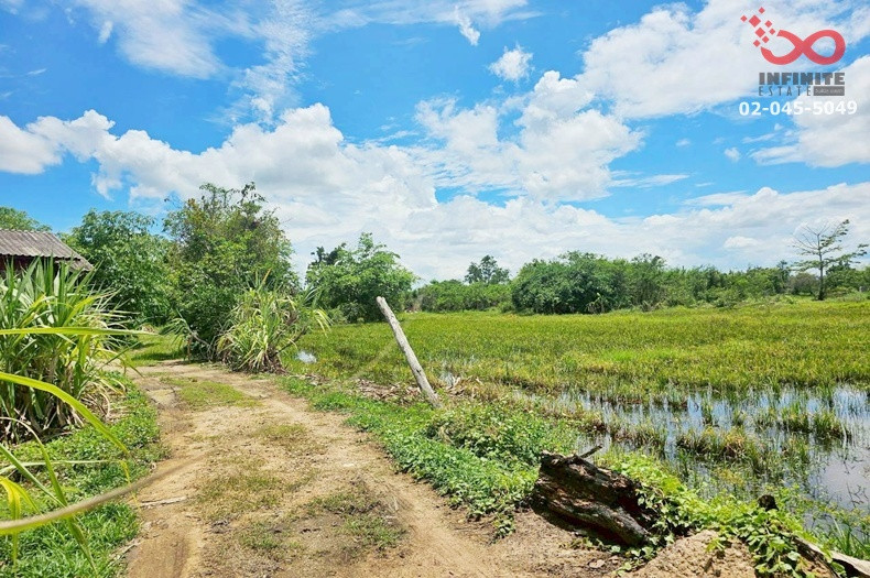 ขายที่ดิน 300 ตร.ว. ตำบลขุนคง อำเภอหางดง เชียงใหม่ แปลงสวย ใกล้บ้านถวาย – รูปที่ 3