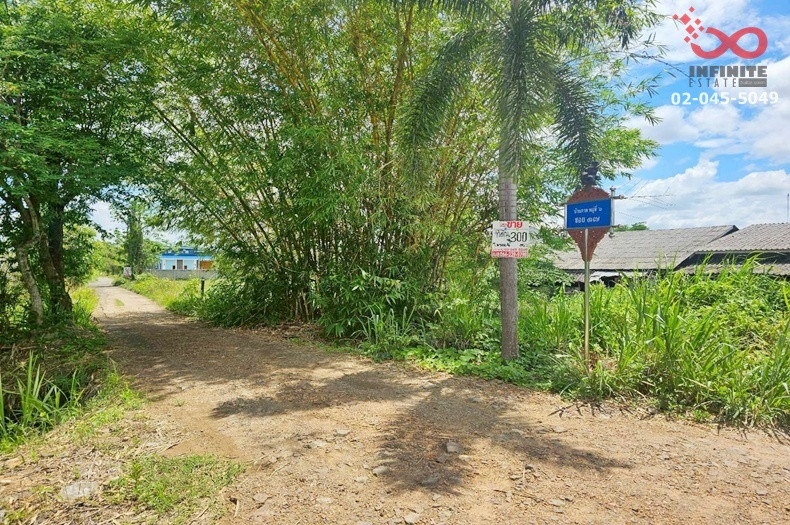ขายที่ดิน 300 ตร.ว. ตำบลขุนคง อำเภอหางดง เชียงใหม่ แปลงสวย ใกล้บ้านถวาย – รูปที่ 2