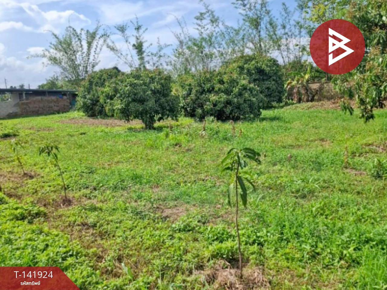Land for sale, area 3 rai, Thoeng, Chiang Rai. – รูปที่ 4