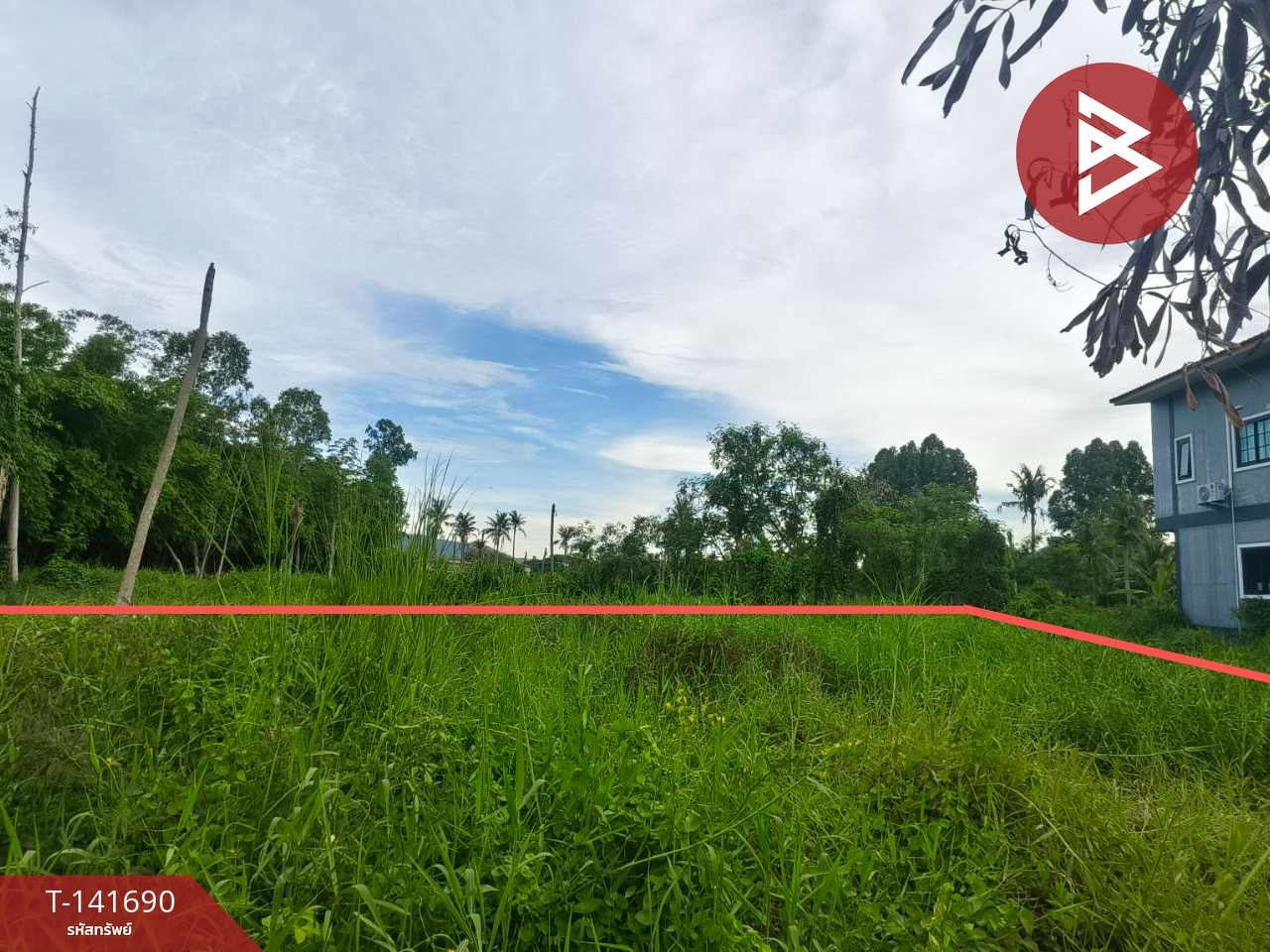 ขายที่ดินเปล่า เนื้อที่ 1 งาน 81.7 ตร.วา บ้านบึง ชลบุรี – รูปที่ 2