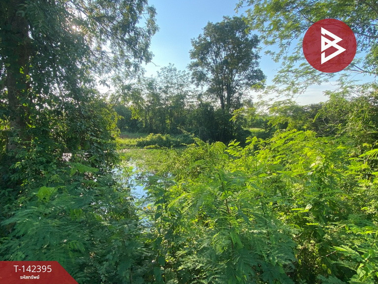 Empty land for sale, area 15 rai 2 ngan 5 sq m, Ban Phue, Udon Thani. – รูปที่ 3
